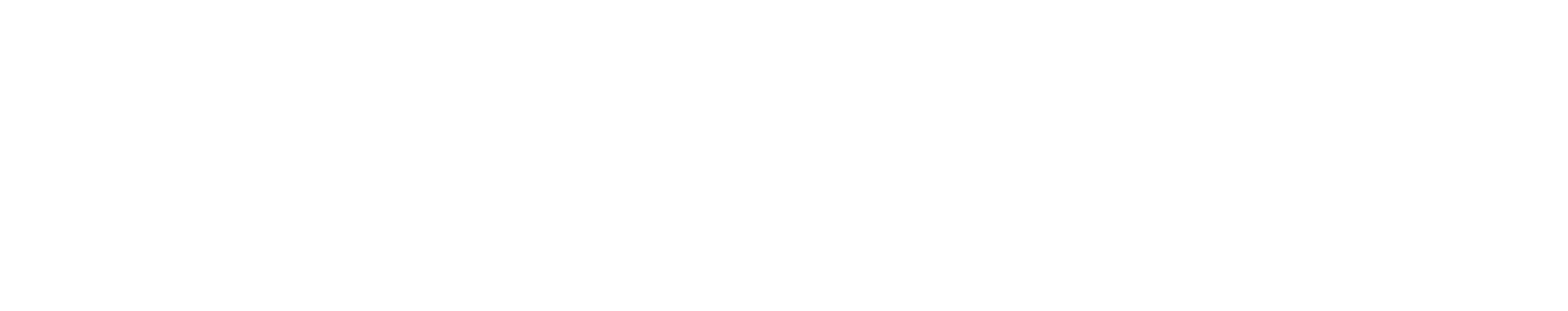 Festival de Poesia